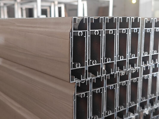 South Africa Aluminium Extrusion Patio Window Profiles Powder Coating